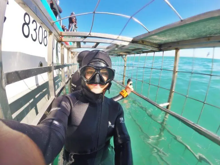 eco conscious shark diving in Cape Town Marine Dynamics