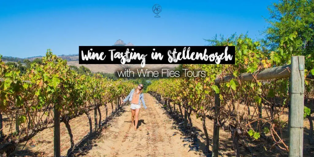 Wine tour from Cape Town Stellenbosch Region Wine flies tour review