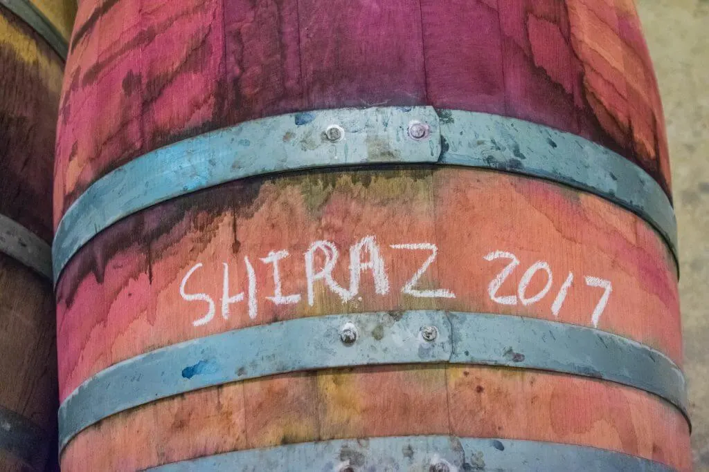 Wine Tasting in Cape Town Stellenbosch winery dogs shiraz oak