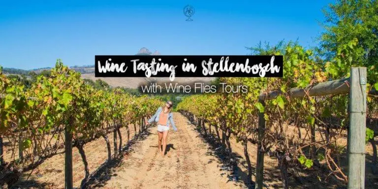 Wine tour from Cape Town Stellenbosch Region Wine flies tour review
