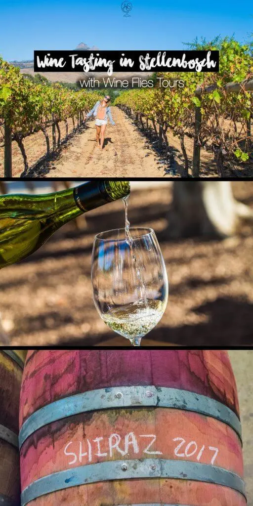 Wine Tasting in Cape Town Stellenbosch wine flies day tour from cape town