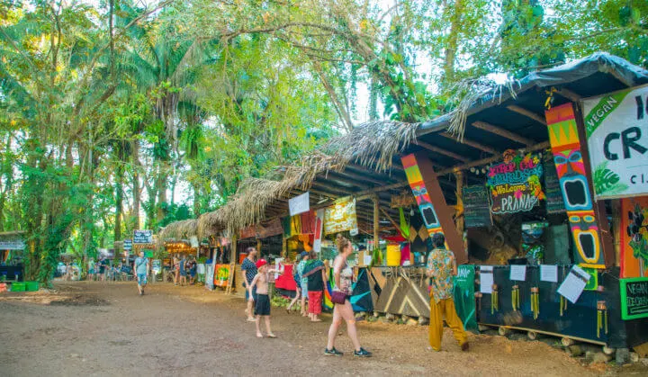 food and drink at Envision Festival Guide Review