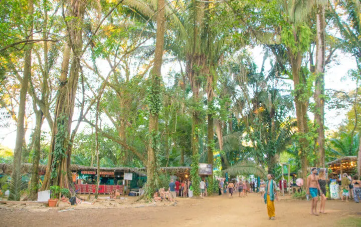 Envision Festival Venue Guide Review Costa Rica
