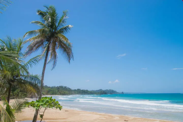 red frog beach bastimentos things to do in bocas del toro
