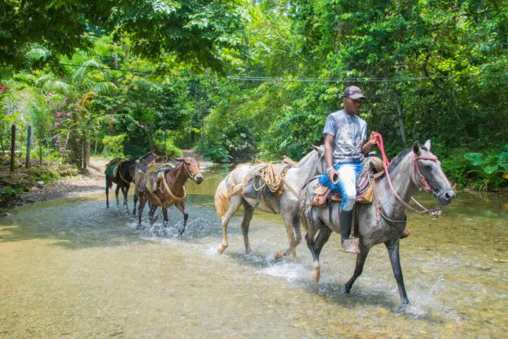 capurgana colombia horse drawn carts el cielo