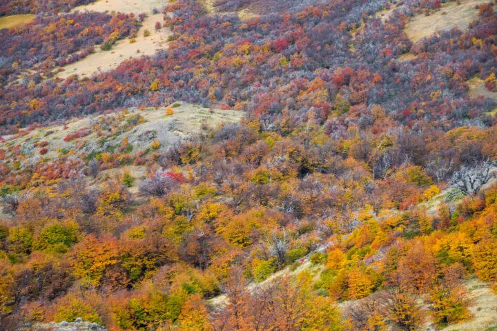 patagonia in autumn fall colors argentina el chalten