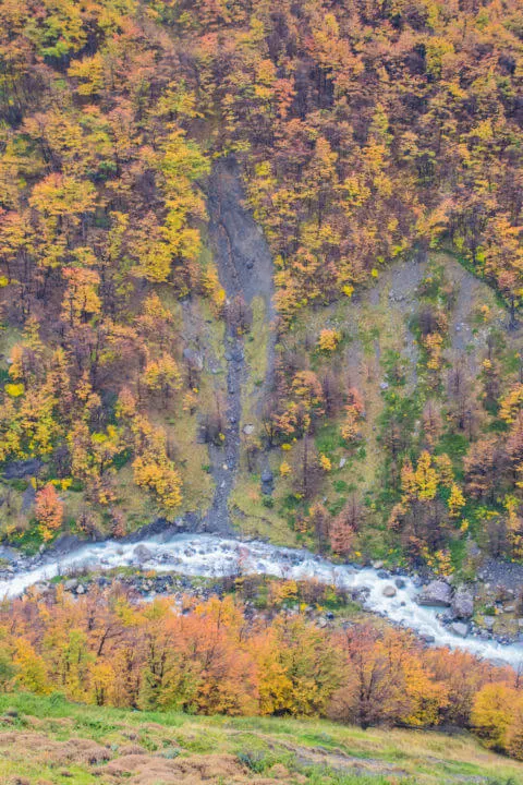 autumn in patagonia fall colors