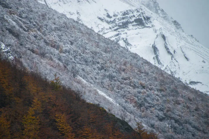 patagonia fall textures