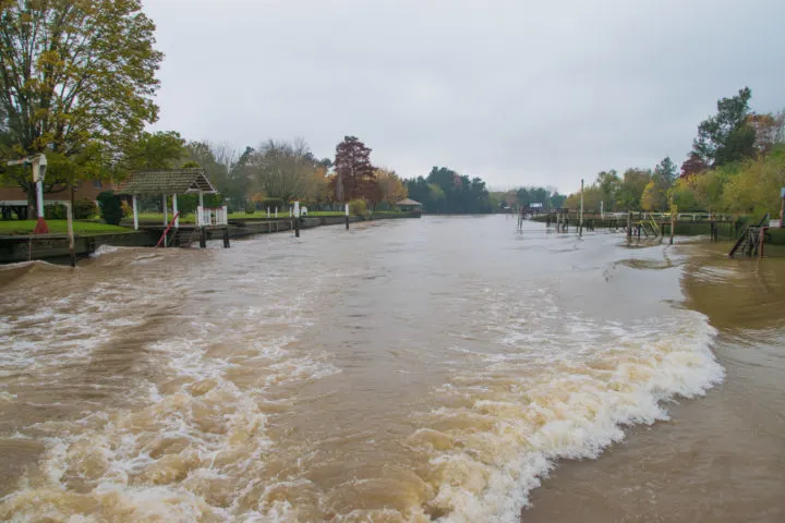 tigre delta tour from buenos aires day trips
