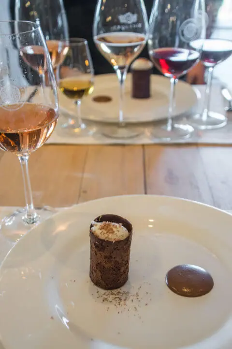 mendoza wine tasting wine pairing