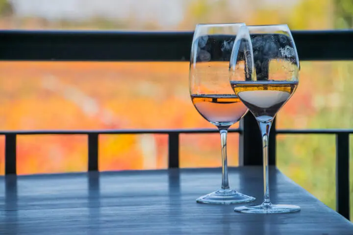 mendoza wine tasting autumn in argentina vistalba