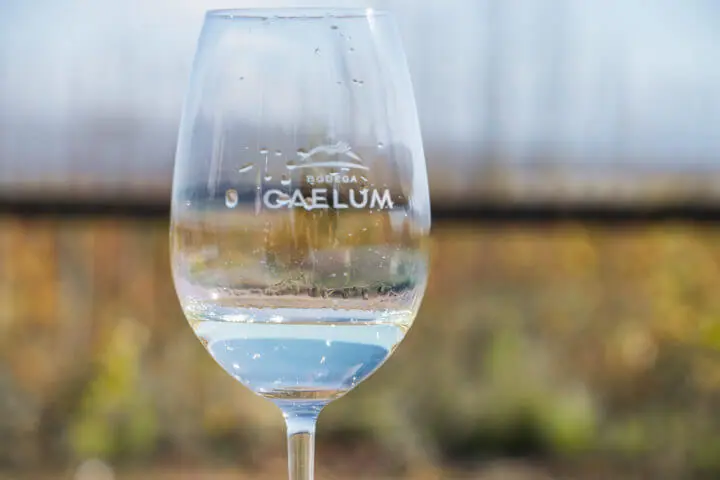 mendoza wine tasting caelum