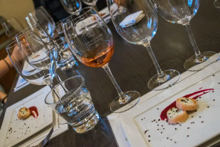 mendoza wine tasting tour clos de chacras rose food and wine pairing class