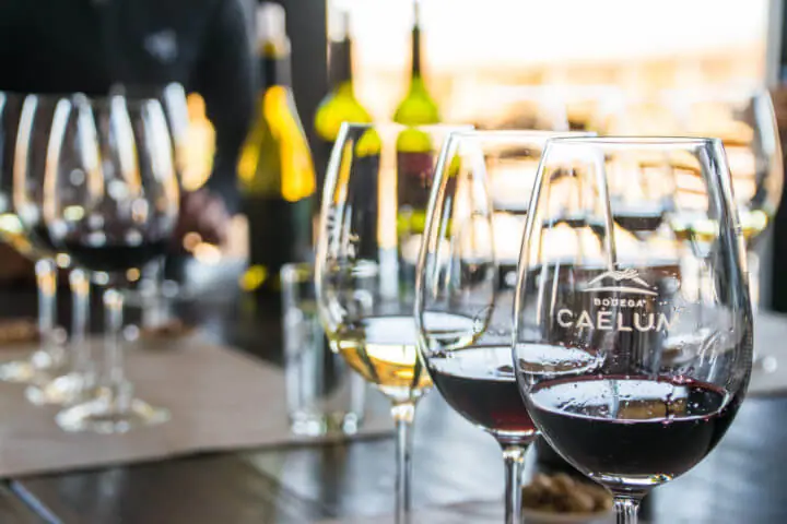 mendoza wine tasting caelum bodega
