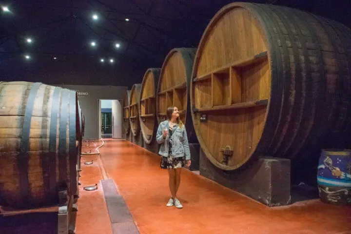 mendoza wine tasting massive oak barrel dante robino winery