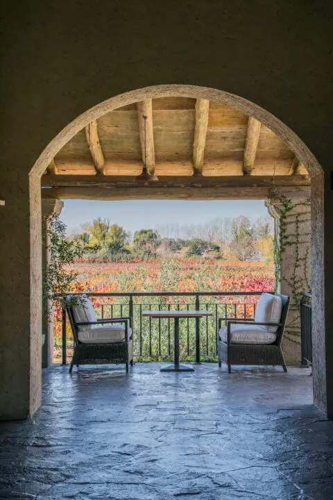 mendoza wine tasting fall vineyards view