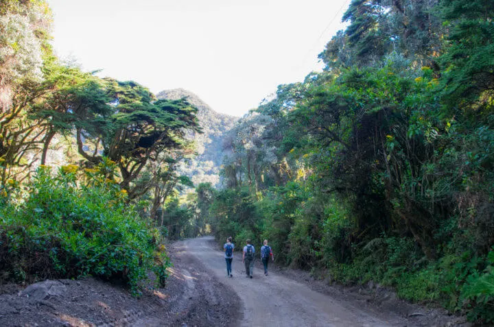 volcan baru hike trail