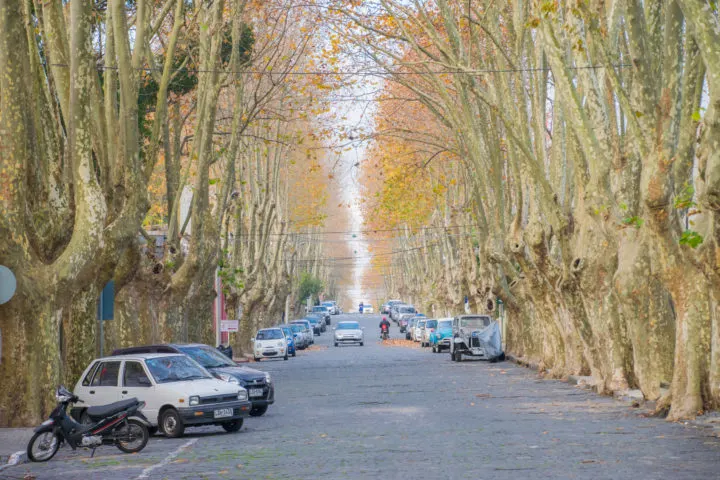 driving in uruguay colonia del sacramento