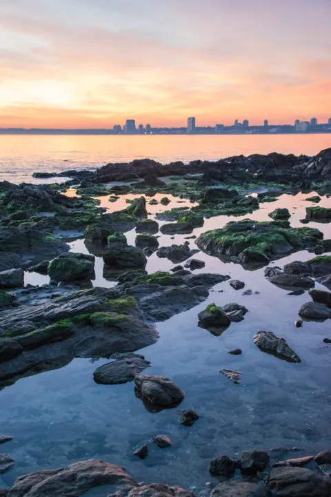 punta del este sunset rambla views  uruguay