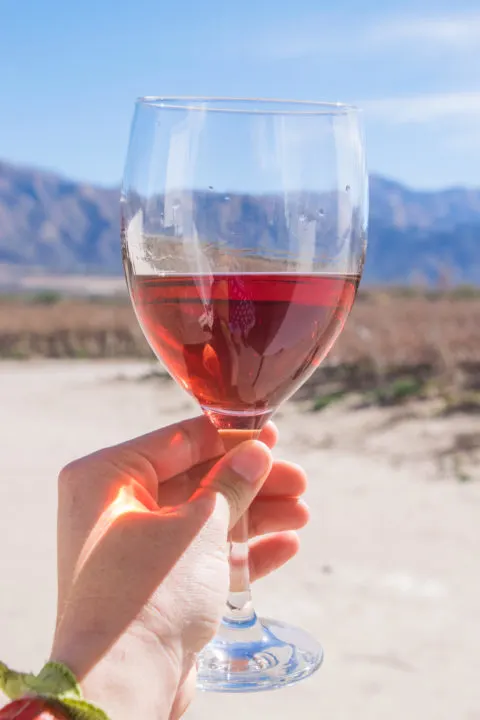 cafayate wine regions of northern argentina salra