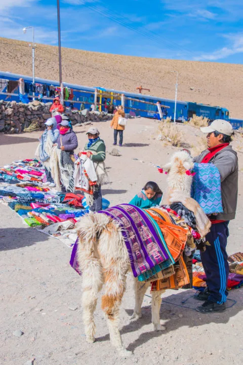 northern argentina indigenous andean crafts llamas tren a las nubes