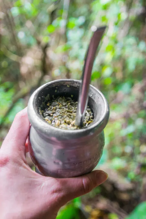one of the things to do in Argentina that is a complete must is to try mate, their popular and energizing loose leaf tea!
