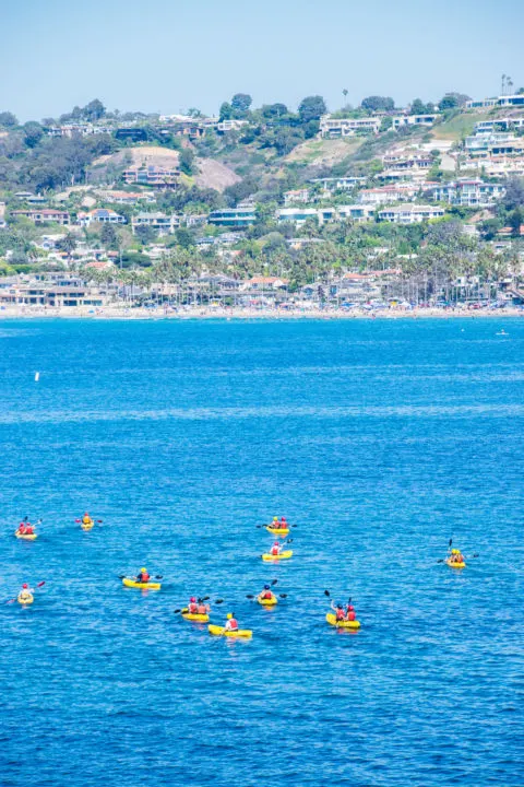 la jolla kayaking san diego