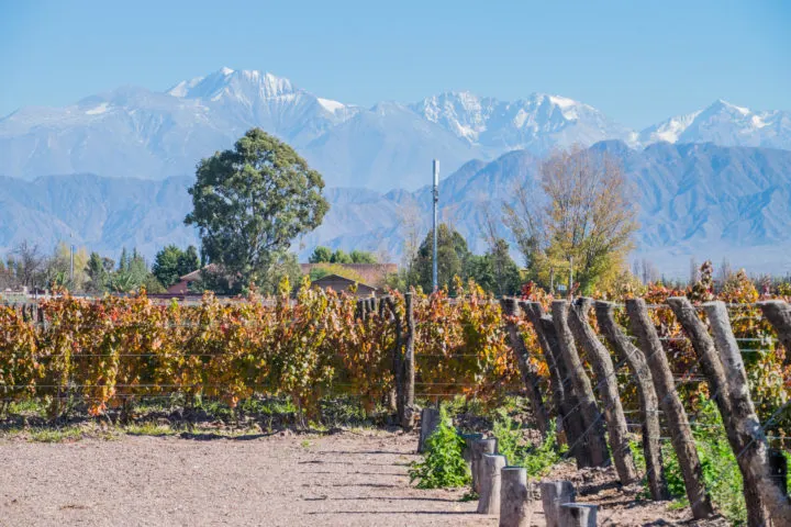 argentina destinations for wine tasting - mendoza