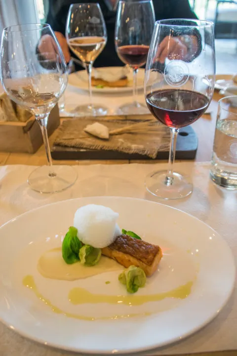 wine tasting in MEndoza, Argentina - 5 course meal pairing with food and wine