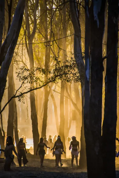 strawberry fields sunset venue