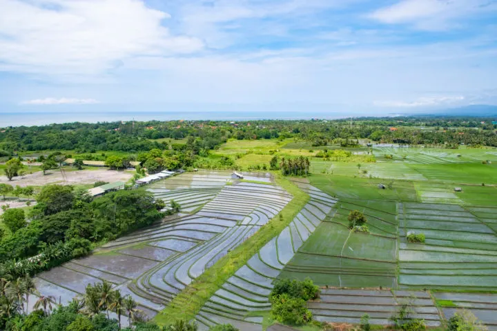 bali helicopter ride rice paddies best view in bali
