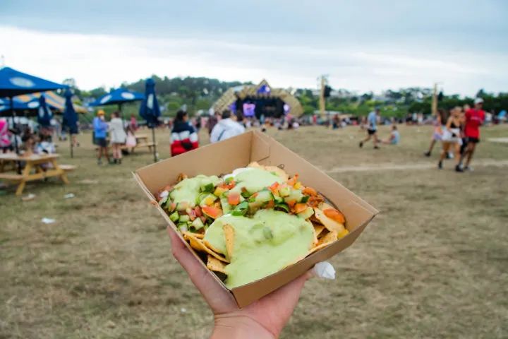 beyond the valley food options nachos