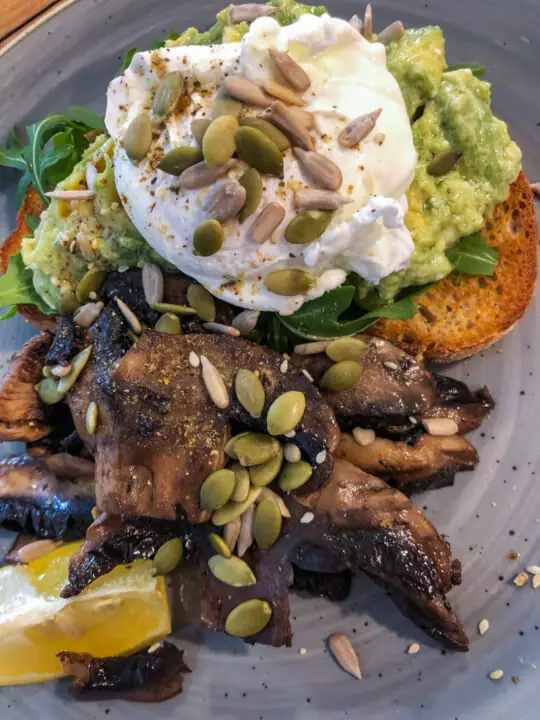 mushroom toast ballarat