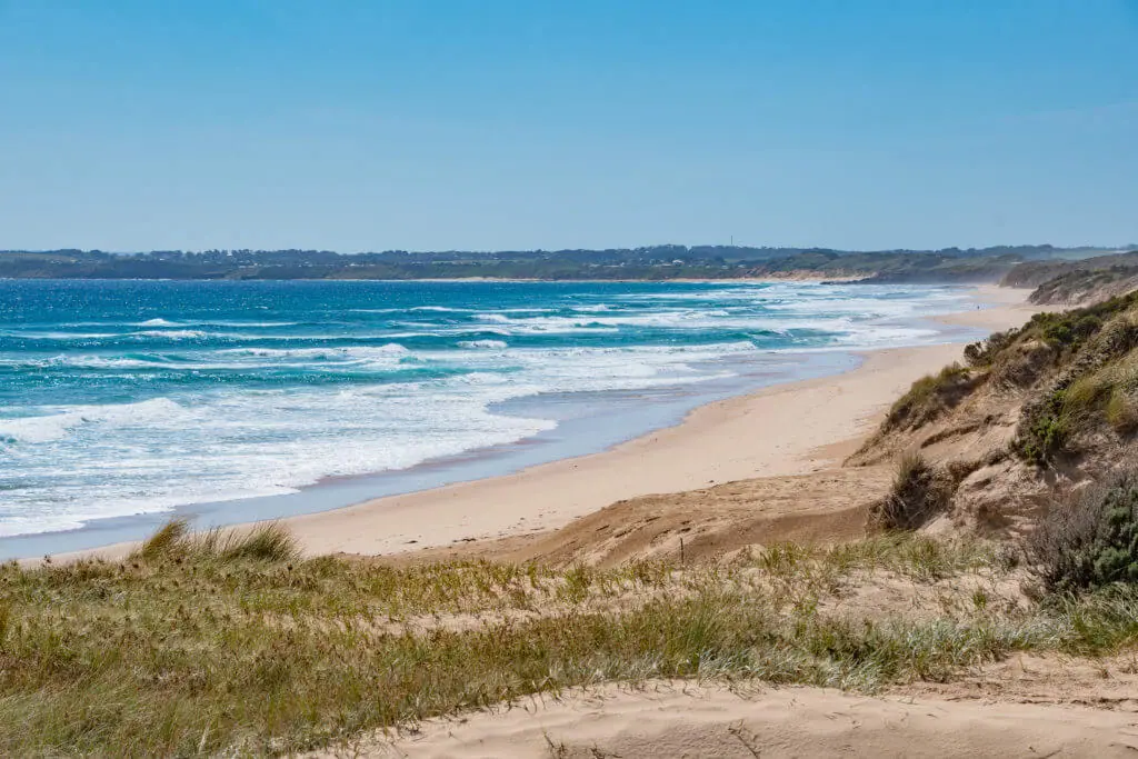phillip island day trip from melbourne