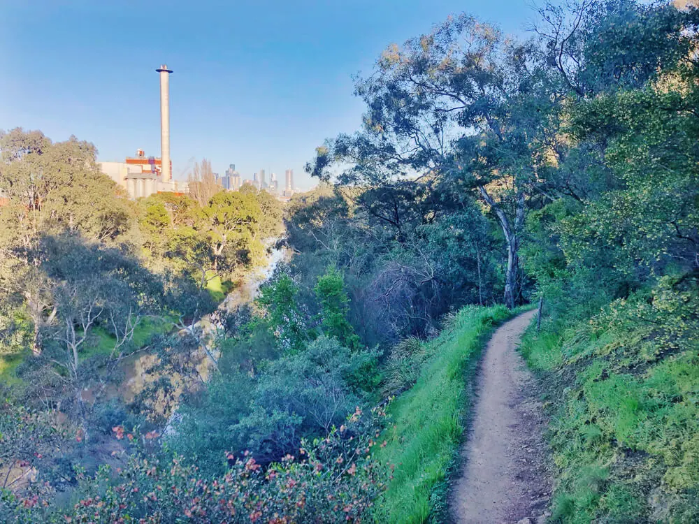 abbotsford trail running with view of carlton brewhouse