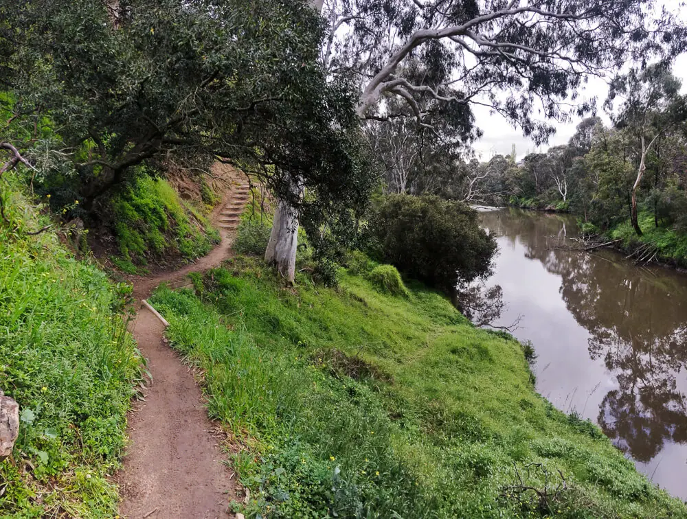 main yarra trail abbotsford