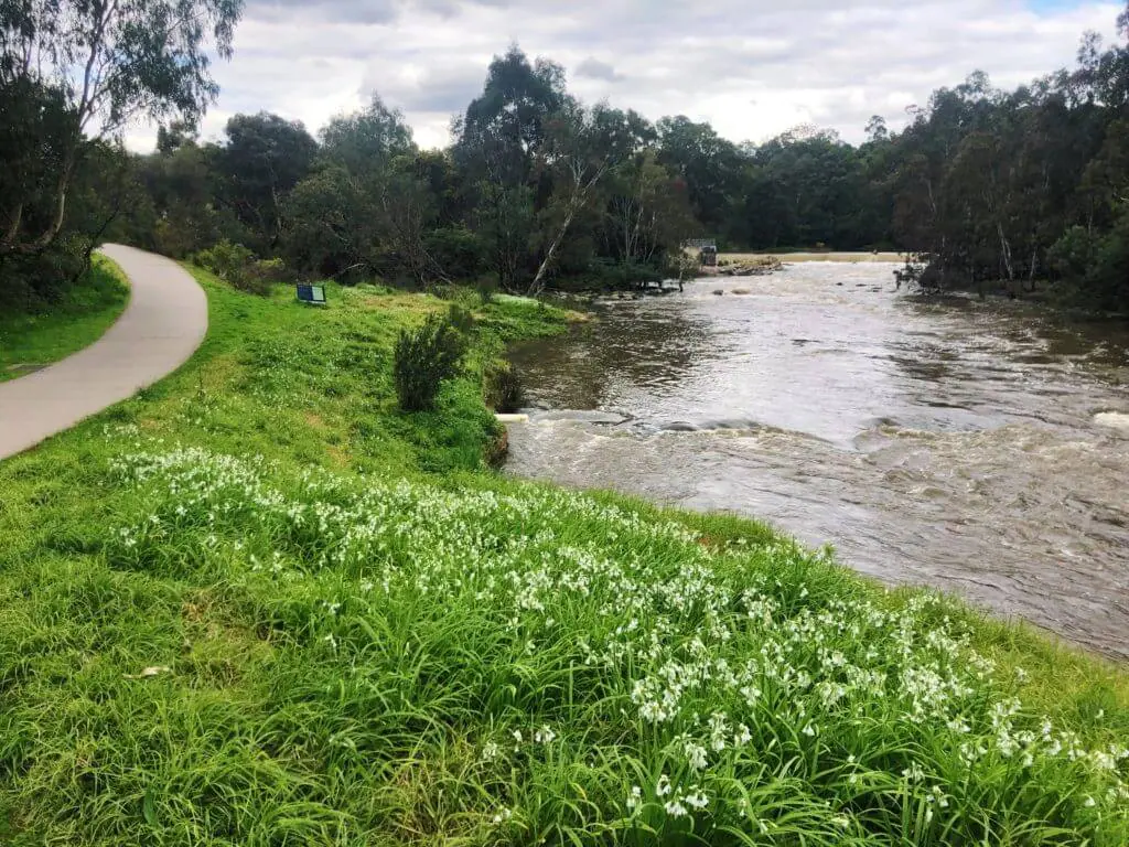 dights falls abbotsford melbourne