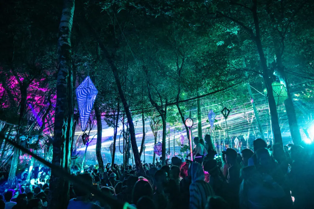 day zero festival concert quotes live music jungle