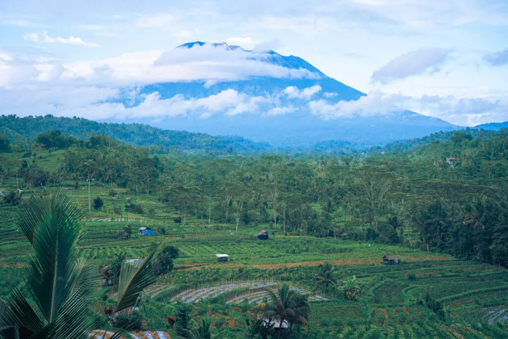 Bali Sidemen rice fields view 