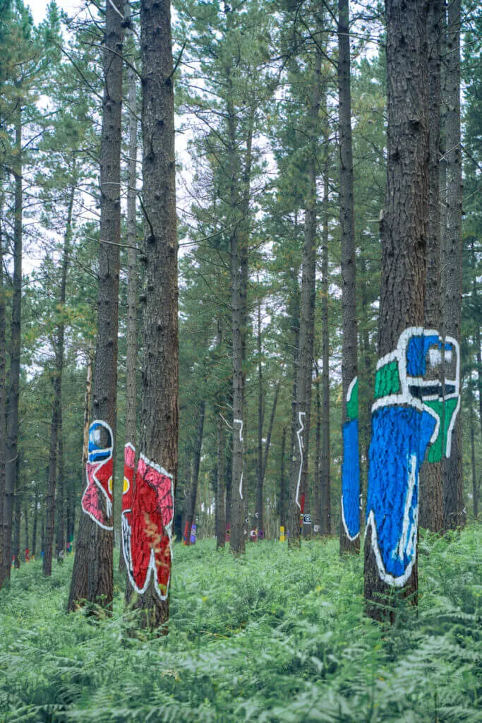 Oma forest spain basque
