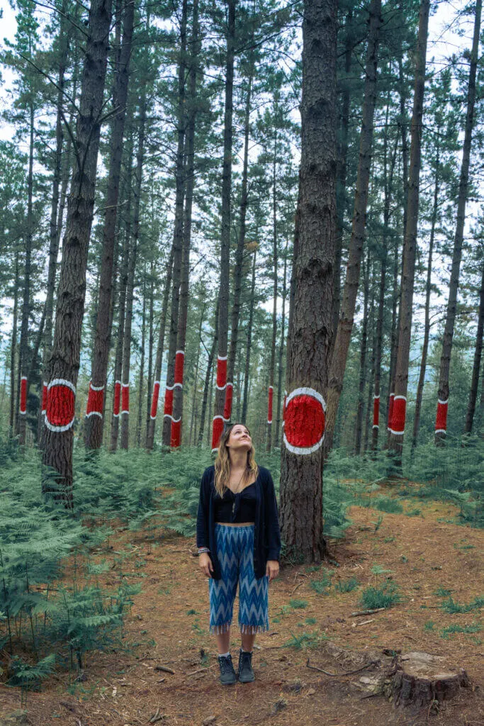 Oma forest amazing place to visit in the basque country