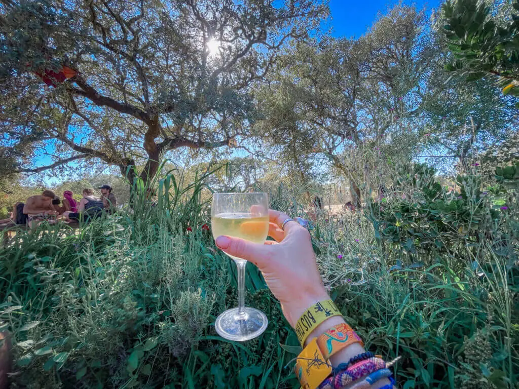 wine and drinks at boom festival