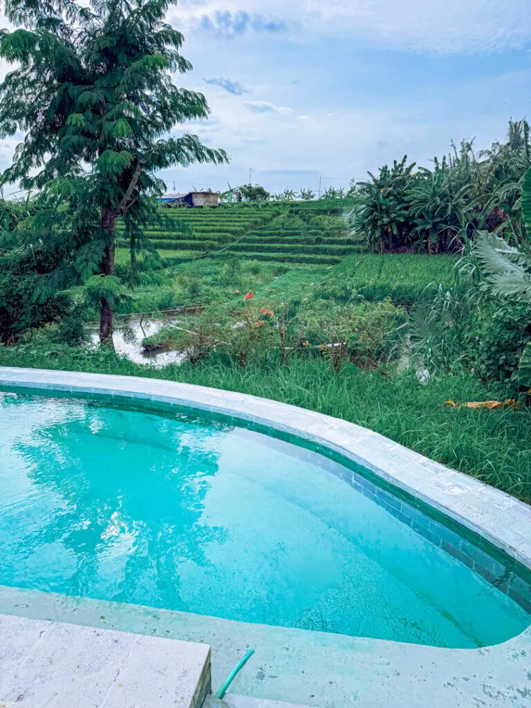 Boho canggu hotel with rice field view