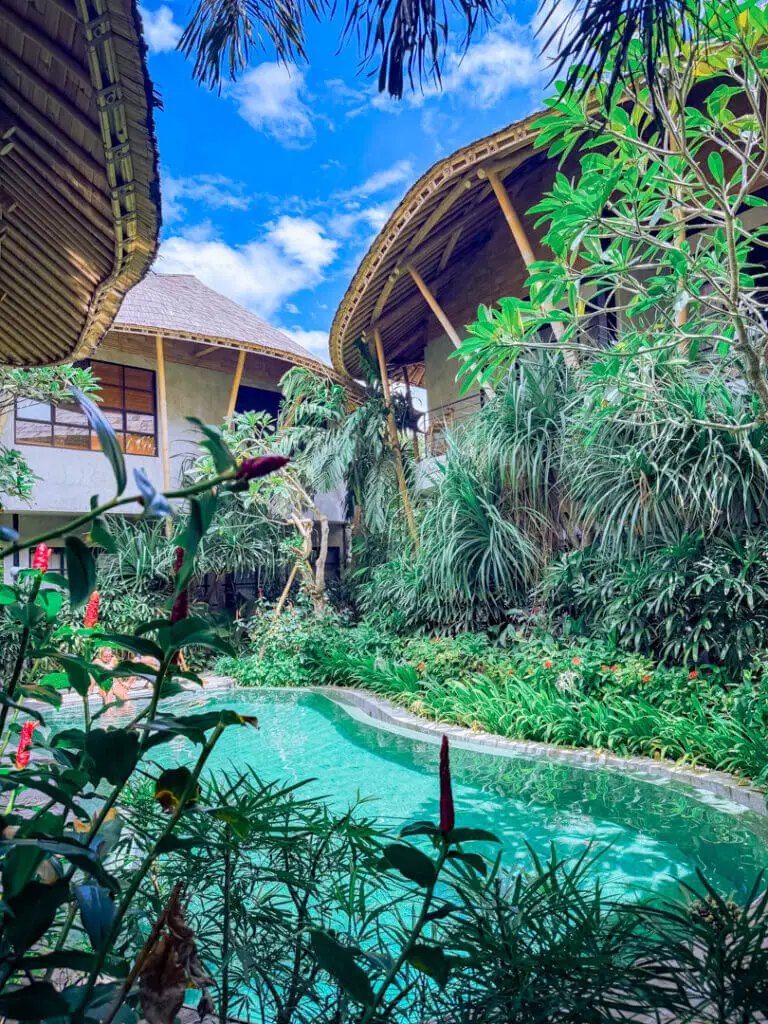 ZIN canggu hotel boutique pool and bamboo rooms