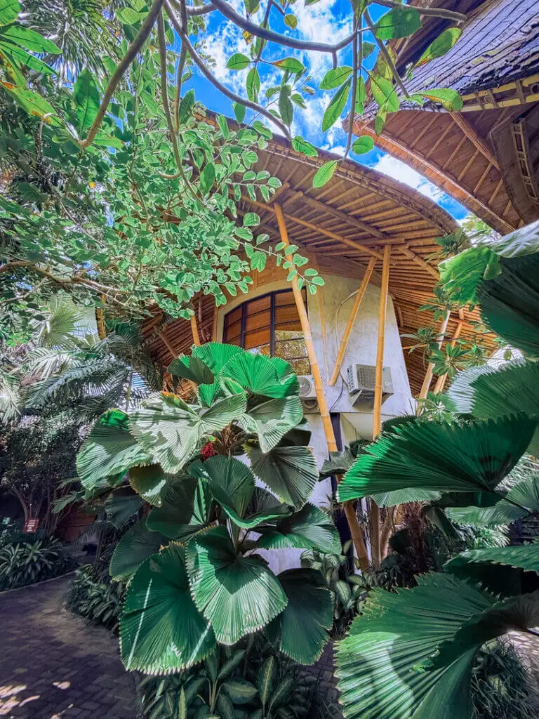ZIN canggu hotel design
