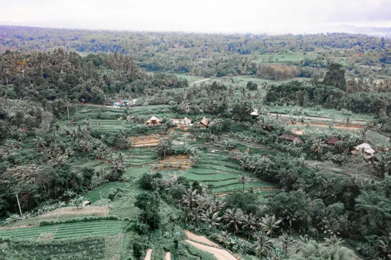 camaya bali bamboo houses bali from a drone rice fields