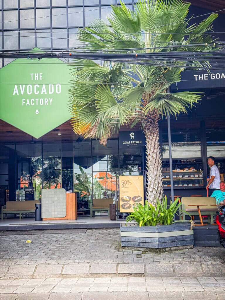 avocado factory canggu 