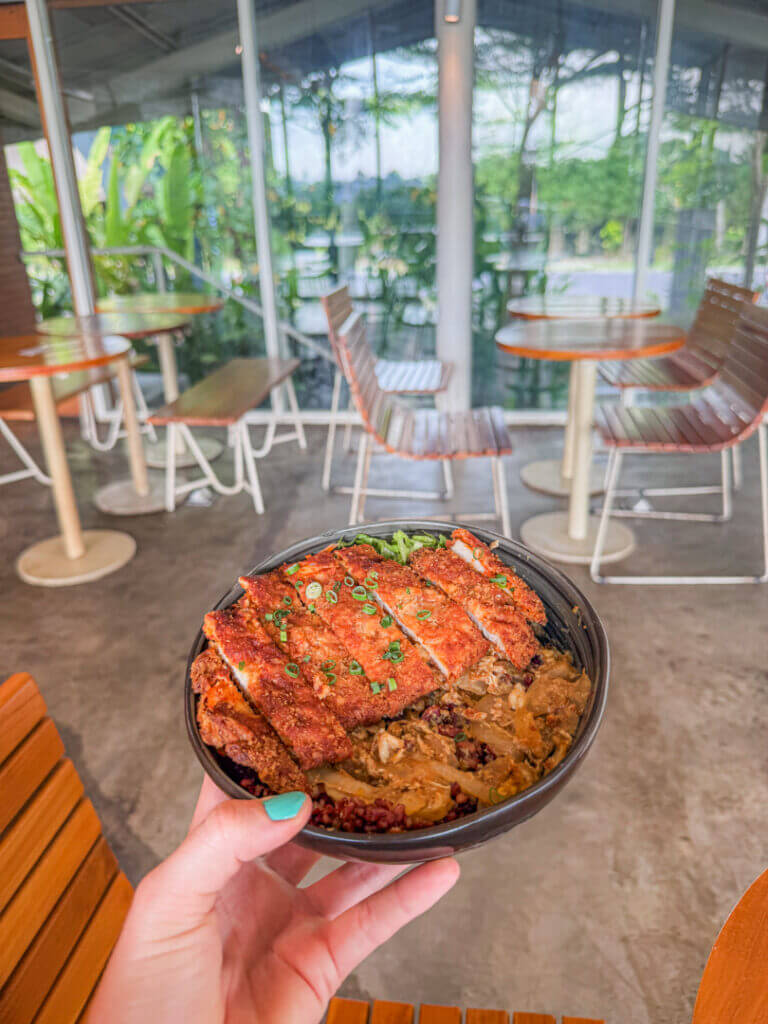 chicken katsu at TGC Garden Lounge hidden gem cafe in canggu 