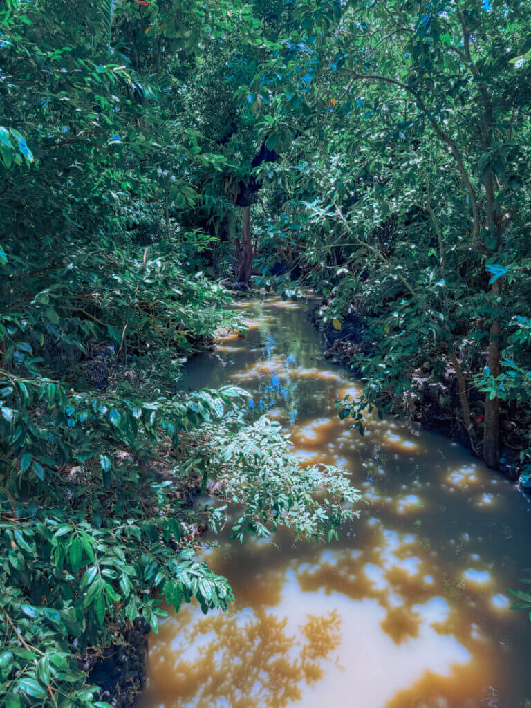 Chandra yoga river canggu pererenan