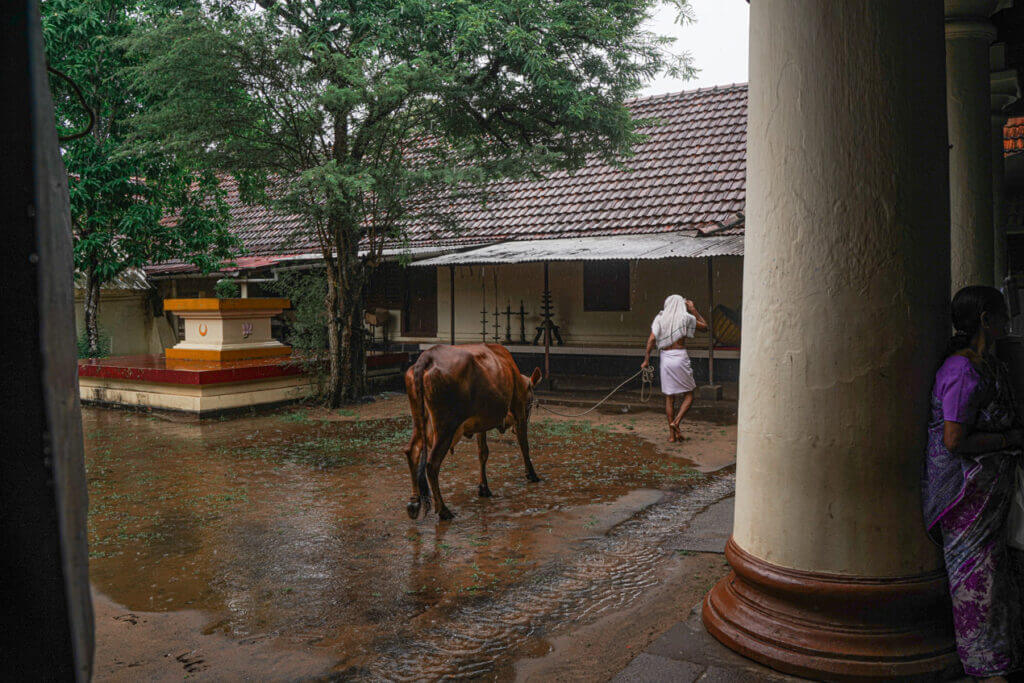 India on a rainy day